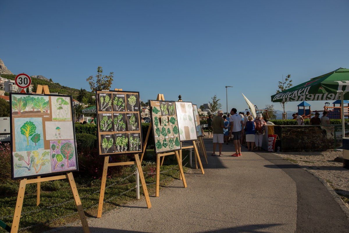 Exhibition boards displayed outdoors at the Blitvijada festival