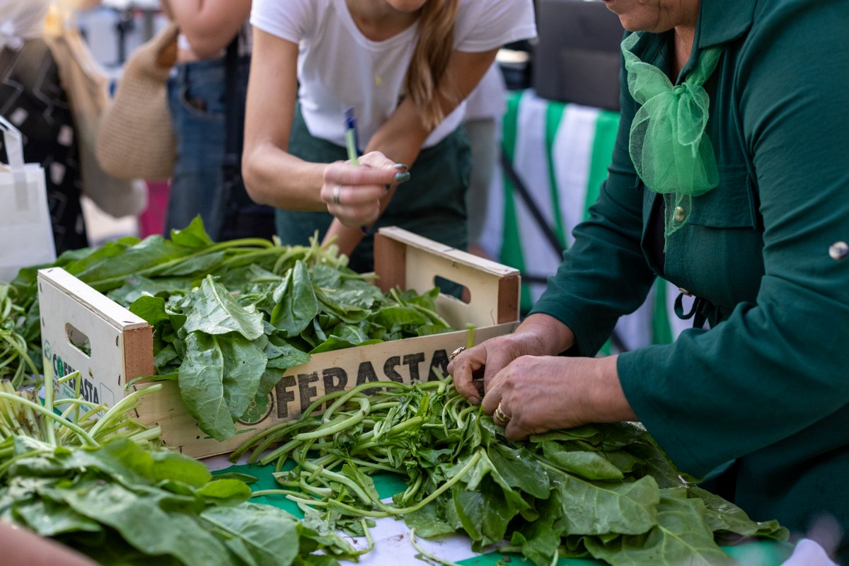 Featured image for “Najiskrenije jelo Rivijere: Upoznajte podgorsku Blitvijadu, festival posvećen blitvi”